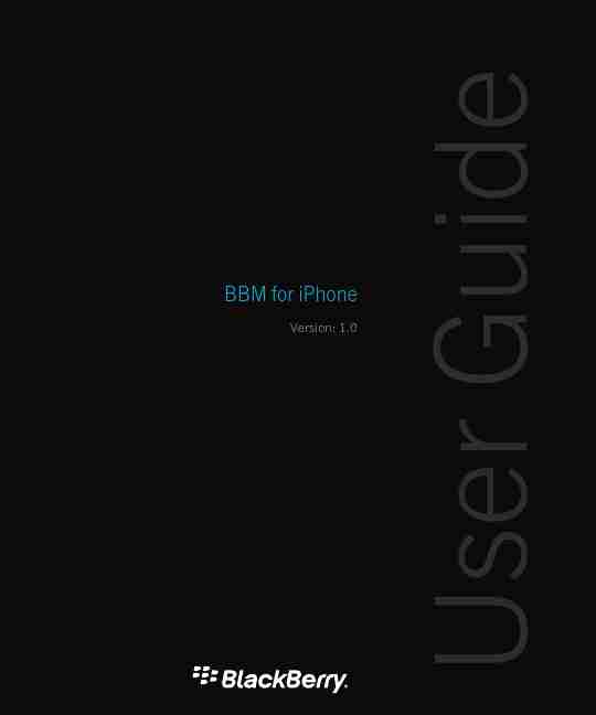Blackberry Cell Phone 1-page_pdf